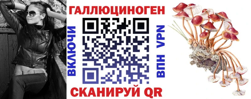 Галлюциногенные грибы Cubensis  Южноуральск 
